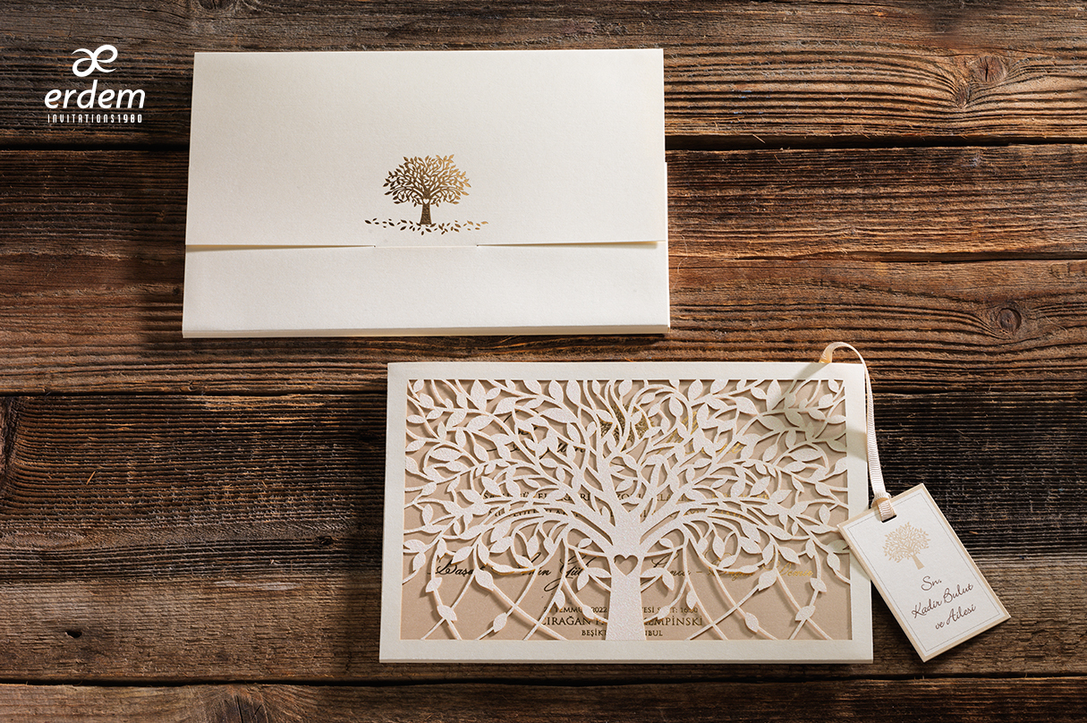 6422c680572ad-50584-1